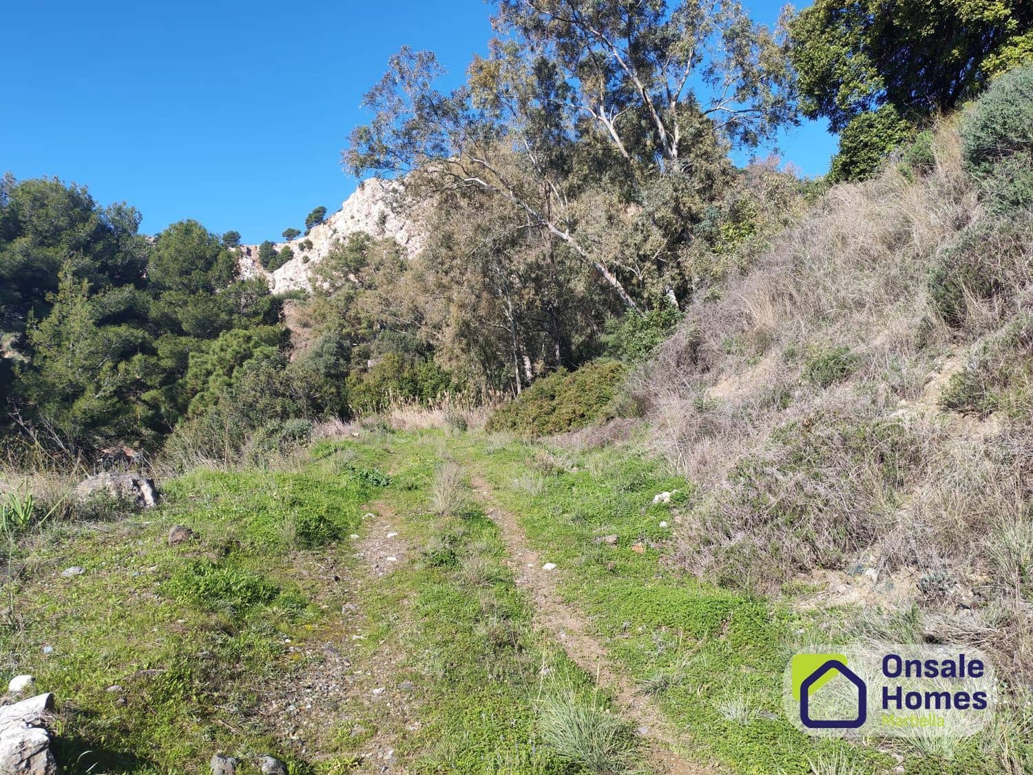 Terreno/Finca Rústica en Ojen en venta - 630.000 € (Ref: 9604479)