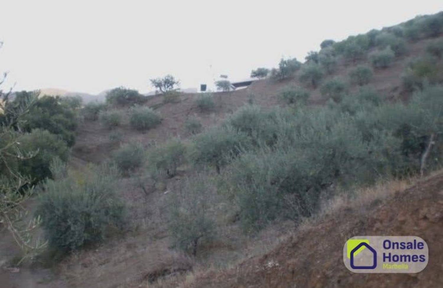 Terreno Não Urbanizado para venda em Monda - 184 000 € (Ref: 9629575)