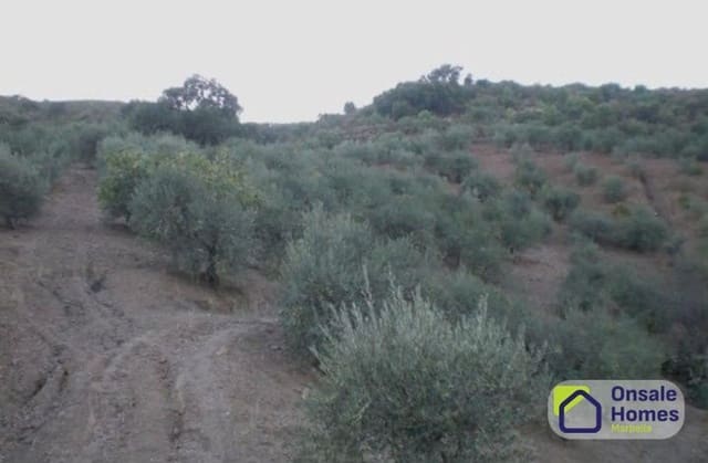 Terreno Não Urbanizado para venda em Monda - 184 000 € (Ref: 9629575)