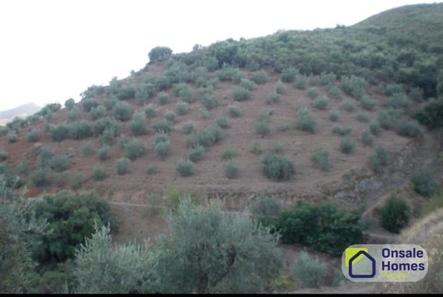 Terreno Não Urbanizado para venda em Monda - 184 000 € (Ref: 9629575)