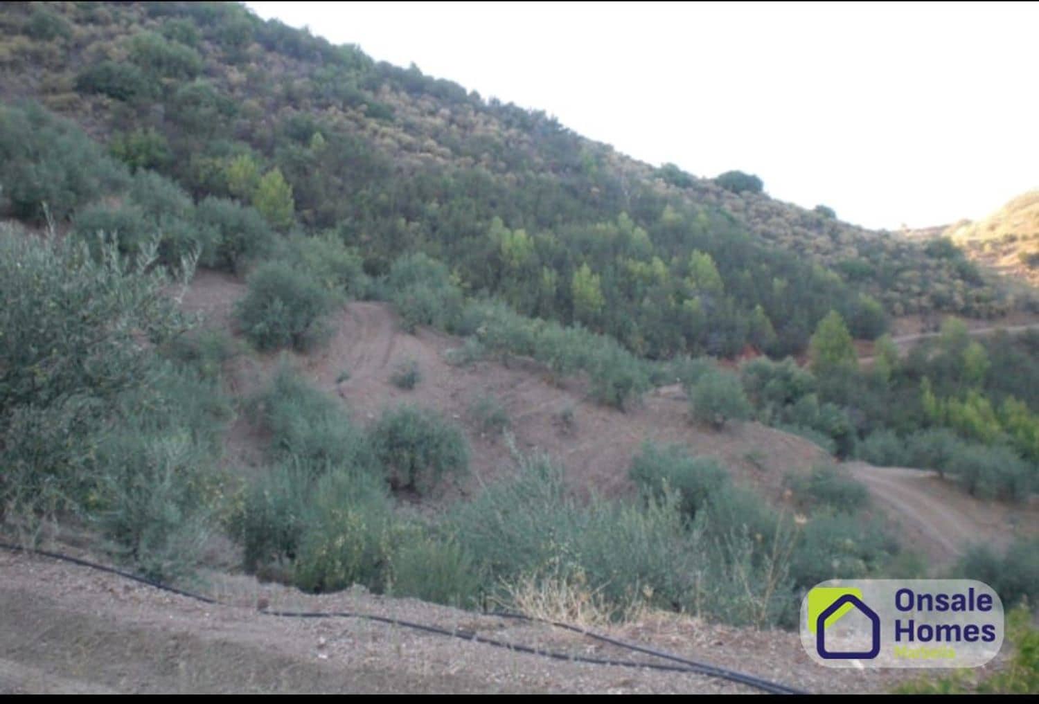 Terreno Não Urbanizado para venda em Monda - 184 000 € (Ref: 9629575)