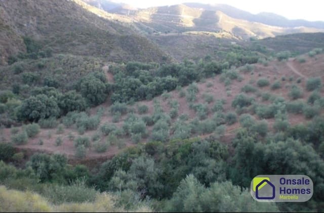 Terreno Não Urbanizado para venda em Monda - 184 000 € (Ref: 9629575)