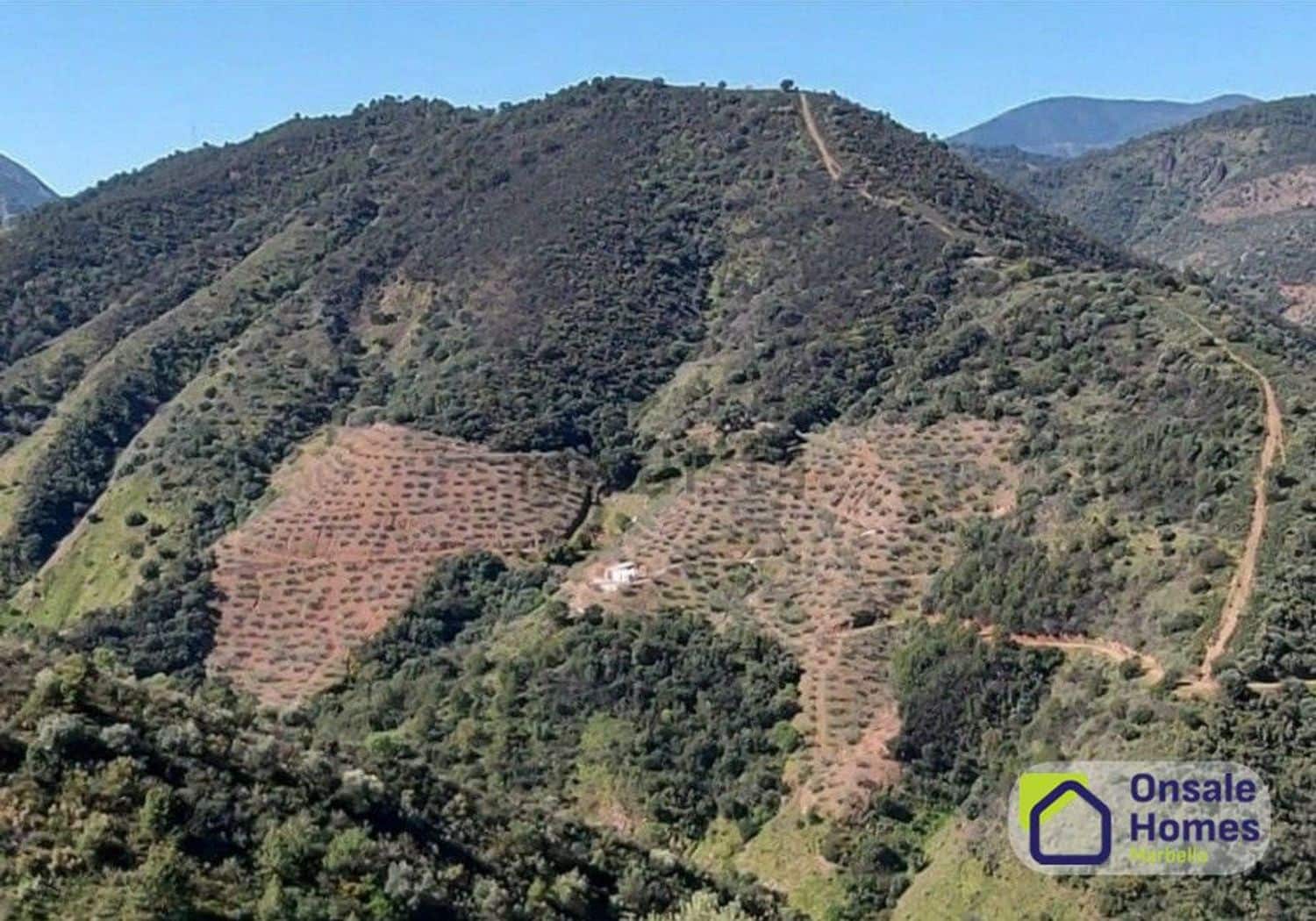 Terreno Não Urbanizado para venda em Monda - 184 000 € (Ref: 9629575)