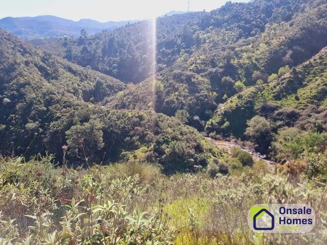 Terreno Não Urbanizado para venda em Monda - 184 000 € (Ref: 9629575)