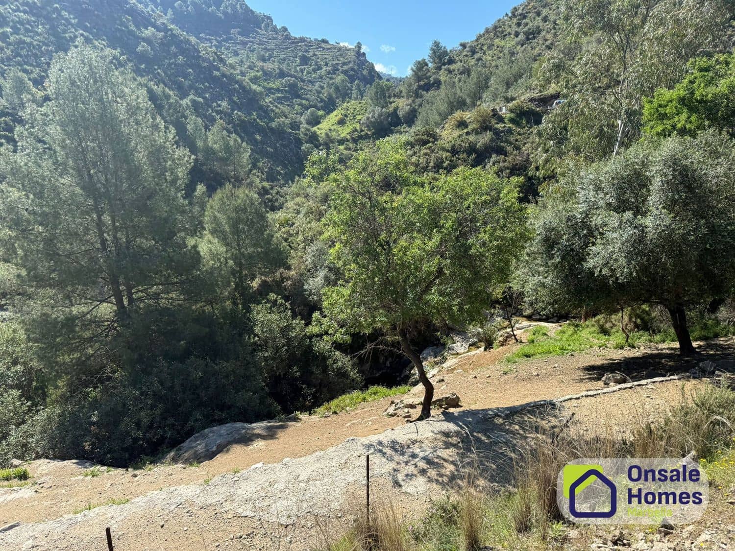 Undeveloped Land for sale in Monda - € 200,000 (Ref: 9772664)