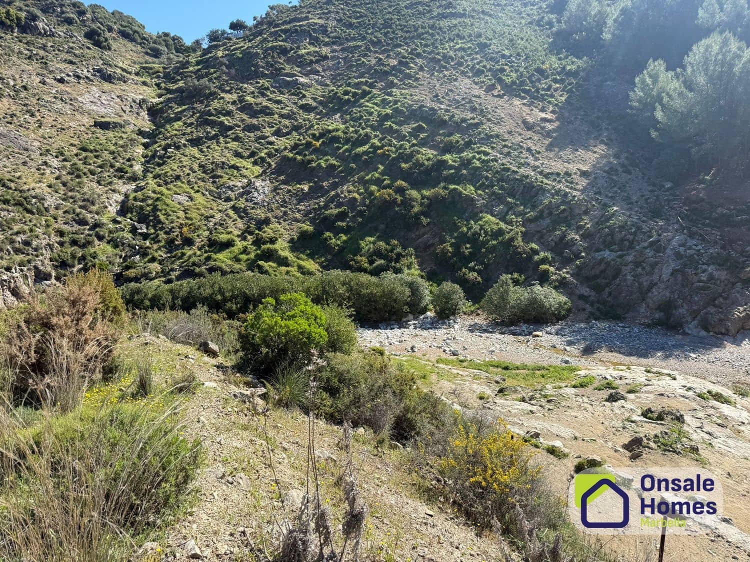 Undeveloped Land for sale in Monda - € 200,000 (Ref: 9772664)