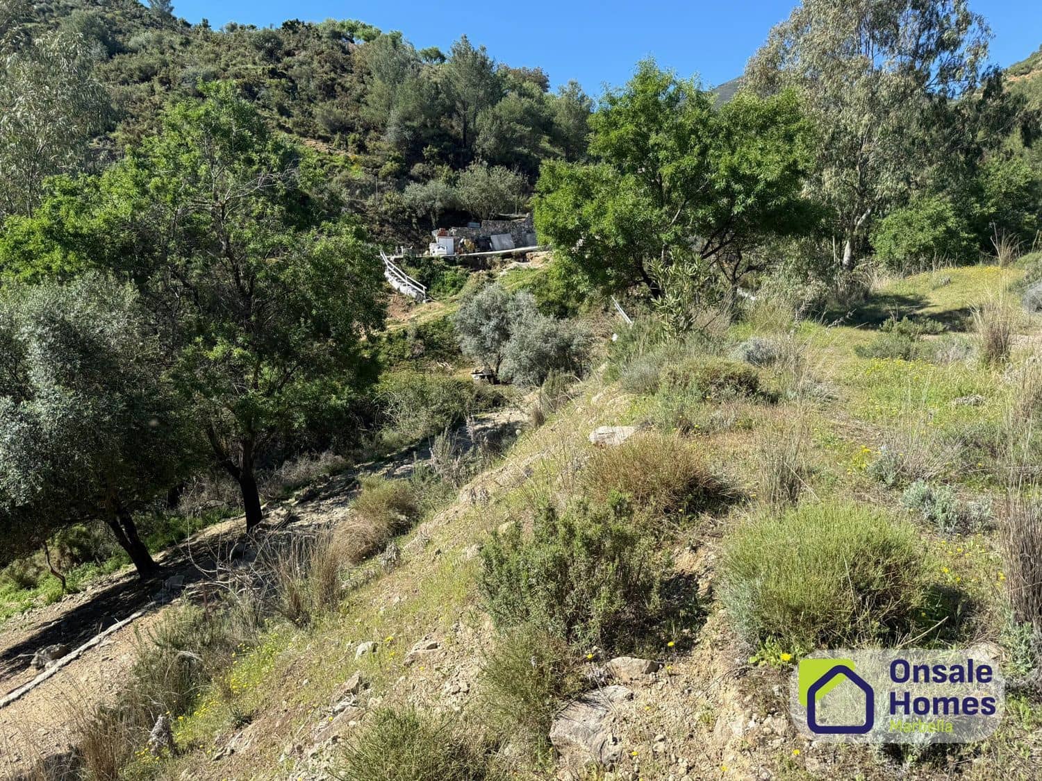 Undeveloped Land for sale in Monda - € 200,000 (Ref: 9772664)