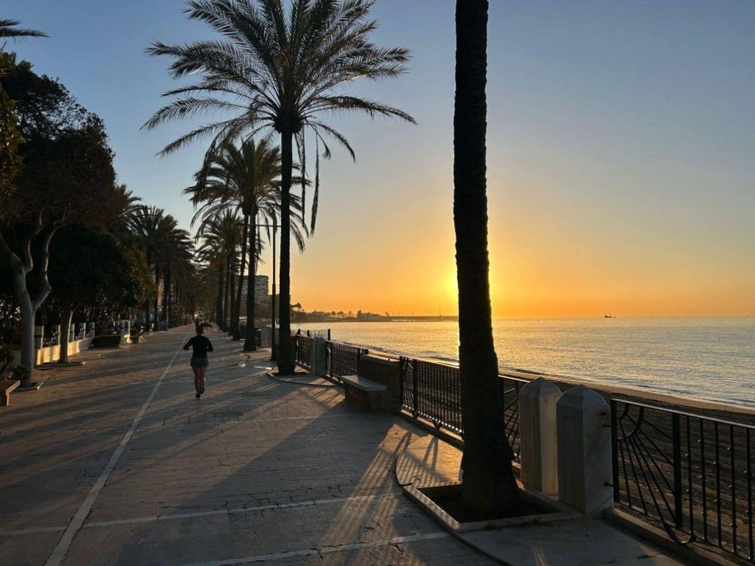 Apartamento de 1 habitación en Marbella en alquiler con garaje - 1.700 € (Ref: 9941643)