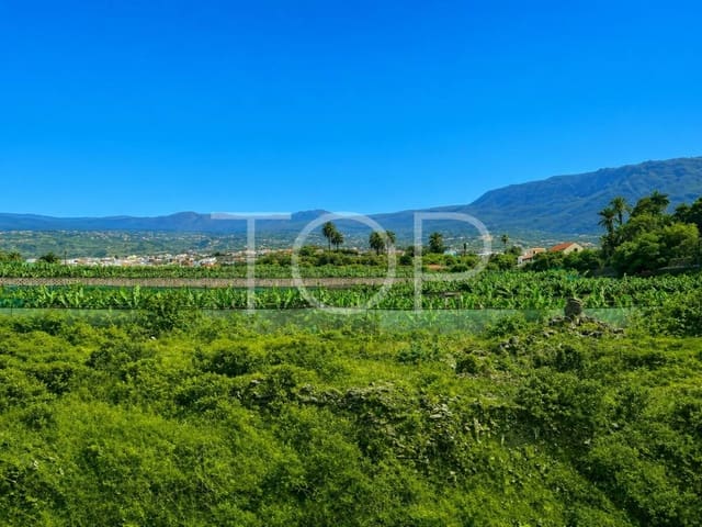 2 Zimmer Wohnung zu verkaufen in Los Realejos - 349.000 € (Ref: 10046605)
