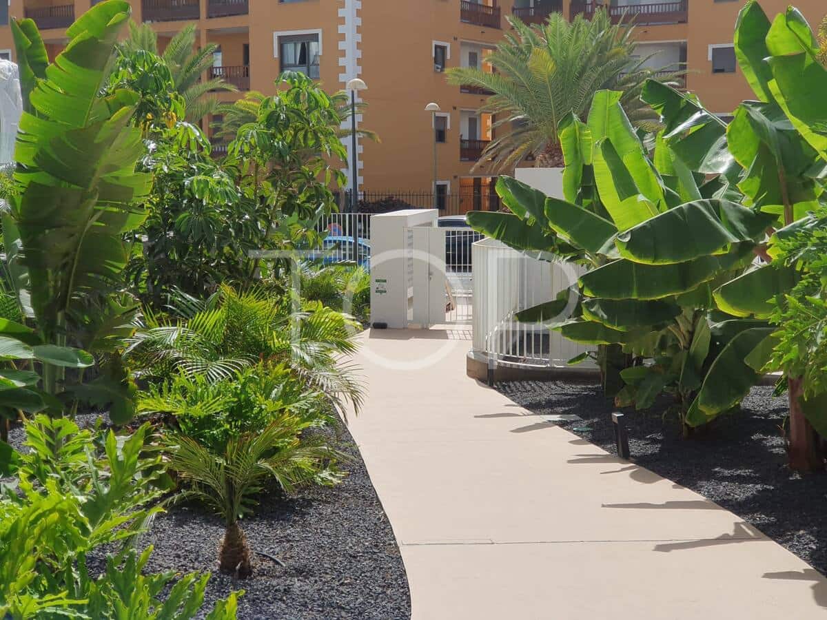 Ático de 2 habitaciones en Palm-Mar en venta con piscina garaje - 616.350 € (Ref: 10173040)