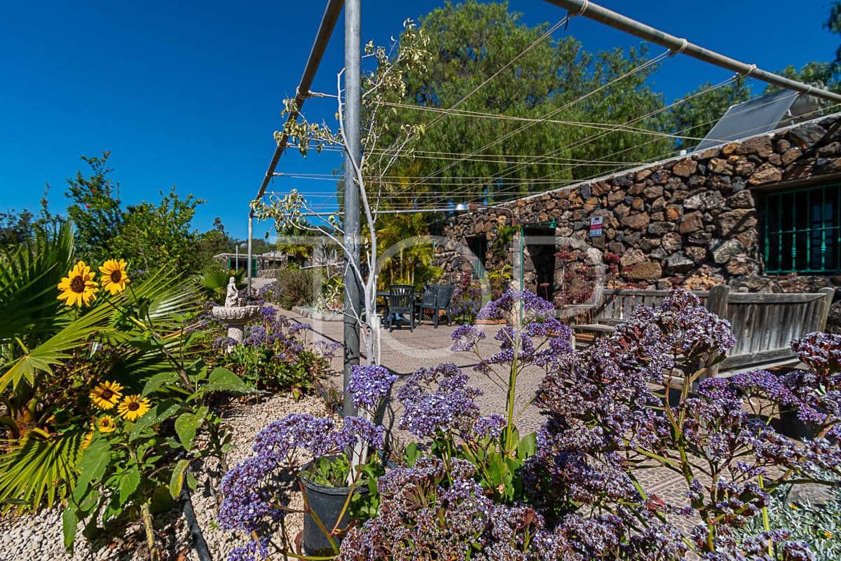 3 soveværelse Finca/Landehus til salg i Aldea Blanca (Tenerife) med swimmingpool - € 600.000 (Ref: 7673208)