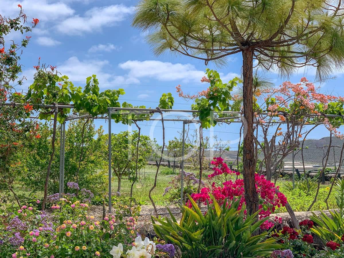 3 soveværelse Finca/Landehus til salg i Aldea Blanca (Tenerife) med swimmingpool - € 600.000 (Ref: 7673208)