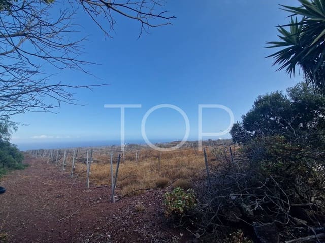 Undeveloped Land for sale in Villa de Arico, Arico - € 1,090,000 (Ref: 7673315)