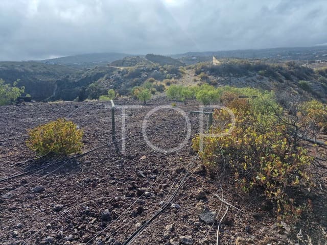 Undeveloped Land for sale in Villa de Arico, Arico - € 1,090,000 (Ref: 7673315)