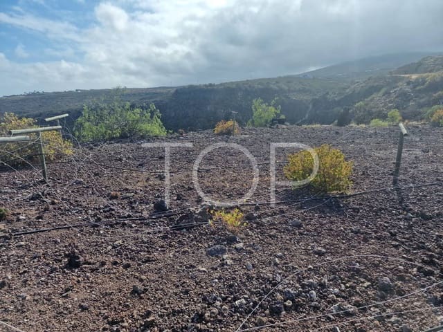 Undeveloped Land for sale in Villa de Arico, Arico - € 1,090,000 (Ref: 7673315)