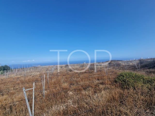 Undeveloped Land for sale in Villa de Arico, Arico - € 1,090,000 (Ref: 7673315)