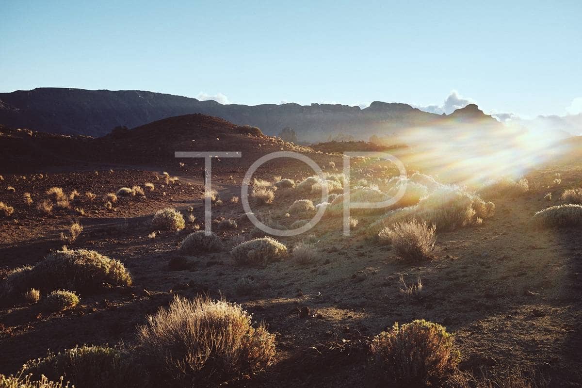 1 quarto Apartamento para venda em Adeje com piscina - 795 154 € (Ref: 8628437)