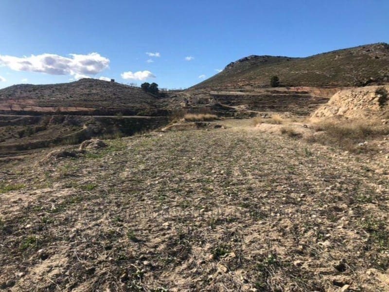 Undeveloped Land for sale in Lorca - € 22,000 (Ref: 9149842)