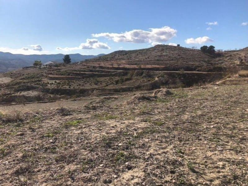 Undeveloped Land for sale in Lorca - € 22,000 (Ref: 9149842)