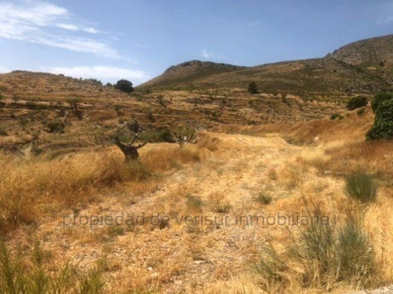 Undeveloped Land for sale in Lorca - € 22,000 (Ref: 9149842)