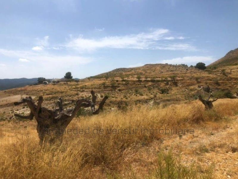 Undeveloped Land for sale in Lorca - € 22,000 (Ref: 9149842)