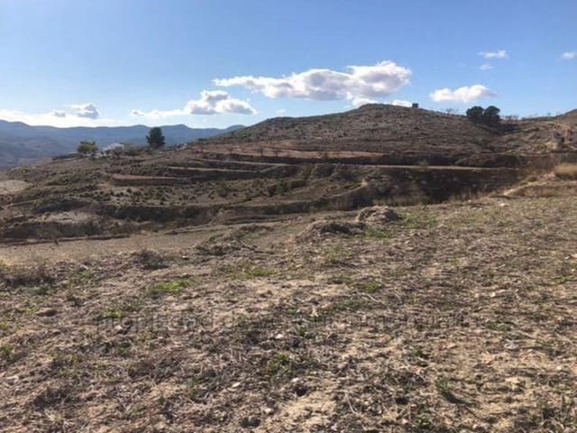 Ubebygd land til salgs i Lorca - € 22 000 (Ref: 9149842)