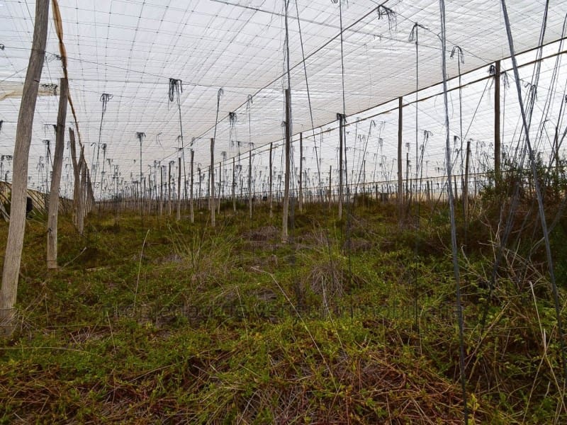 2 soverom Finca/Herregård til salgs i Aguilas - € 190 000 (Ref: 9149853)