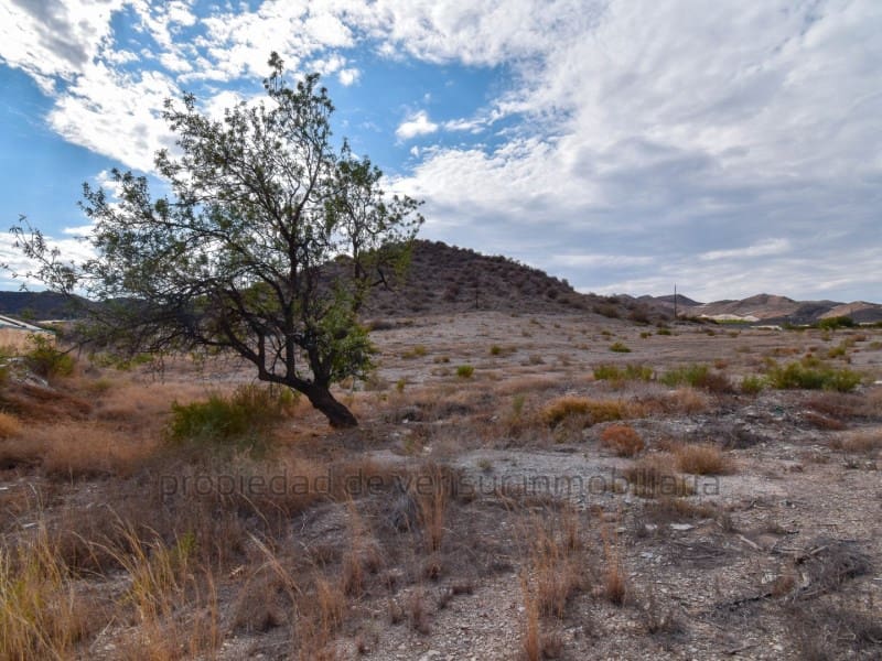 Grunde uden byggetilladelser til salg i Aguilas - € 74.000 (Ref: 9149857)