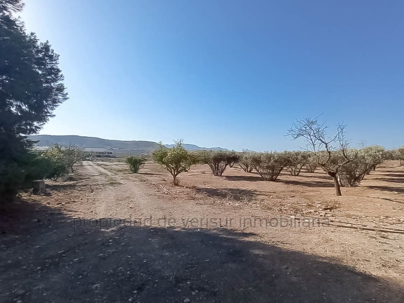 3 chambre Finca/Maison de Campagne à vendre à Lorca - 157 000 € (Ref: 9149870)