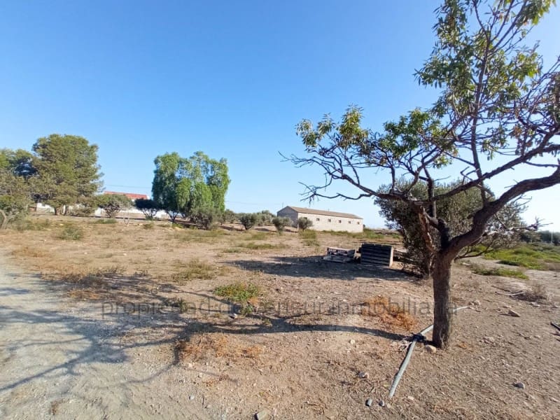 3 chambre Finca/Maison de Campagne à vendre à Lorca - 157 000 € (Ref: 9149870)