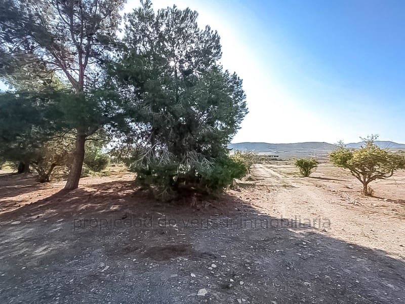 3 chambre Finca/Maison de Campagne à vendre à Lorca - 157 000 € (Ref: 9149870)