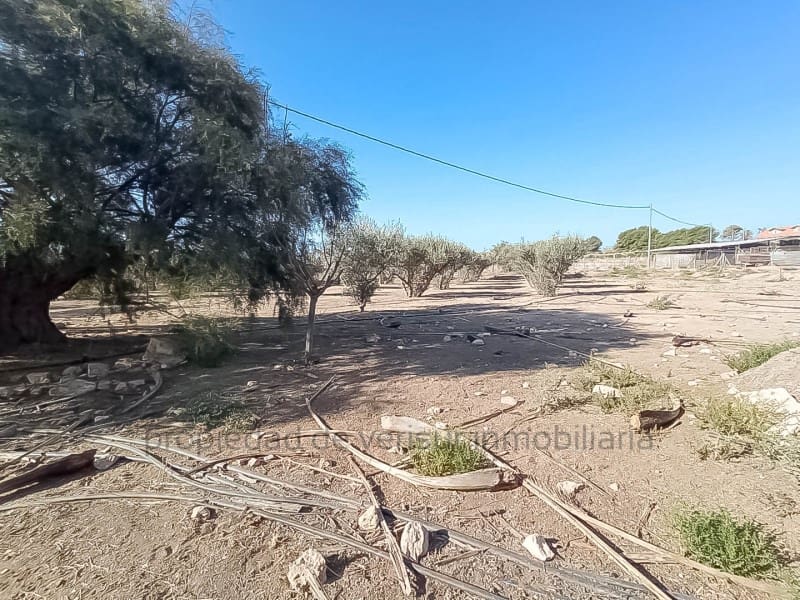 3 chambre Finca/Maison de Campagne à vendre à Lorca - 157 000 € (Ref: 9149870)