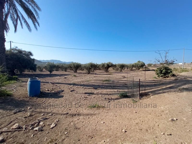 3 chambre Finca/Maison de Campagne à vendre à Lorca - 157 000 € (Ref: 9149870)