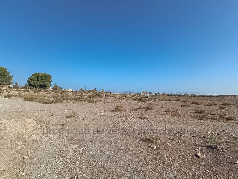 3 chambre Finca/Maison de Campagne à vendre à Lorca - 157 000 € (Ref: 9149870)