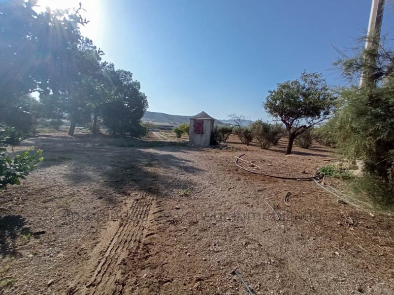 3 chambre Finca/Maison de Campagne à vendre à Lorca - 157 000 € (Ref: 9149870)