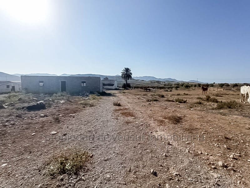 3 chambre Finca/Maison de Campagne à vendre à Lorca - 157 000 € (Ref: 9149870)