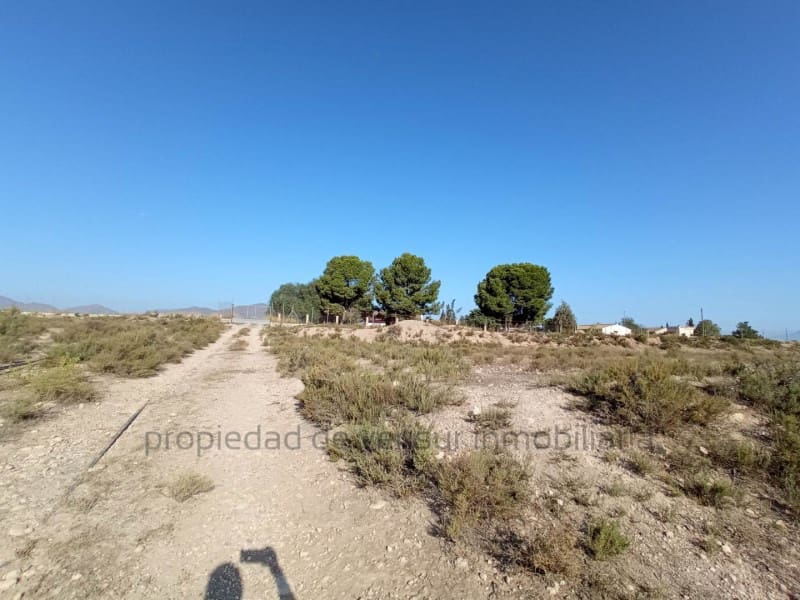 3 chambre Finca/Maison de Campagne à vendre à Lorca - 157 000 € (Ref: 9149870)