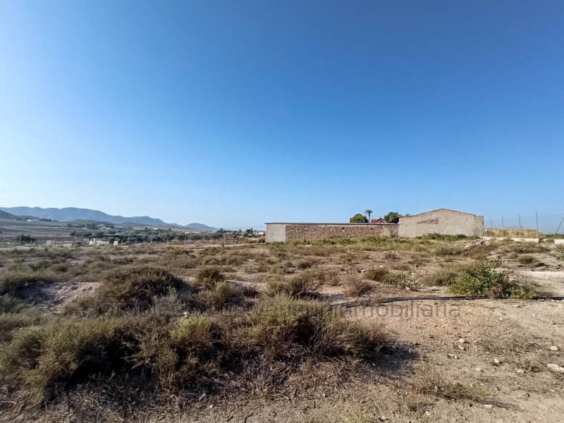 3 chambre Finca/Maison de Campagne à vendre à Lorca - 157 000 € (Ref: 9149870)