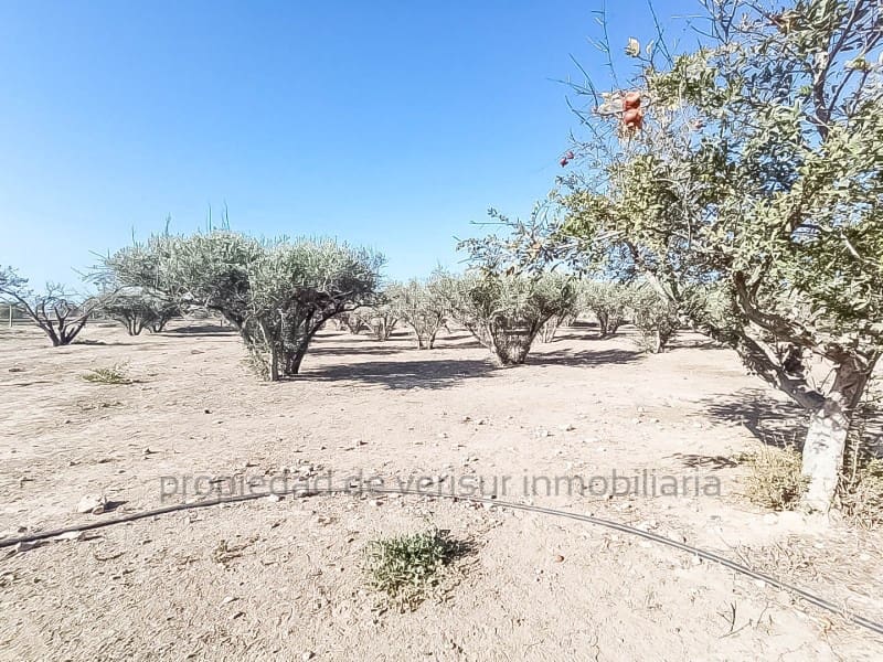 3 chambre Finca/Maison de Campagne à vendre à Lorca - 157 000 € (Ref: 9149870)