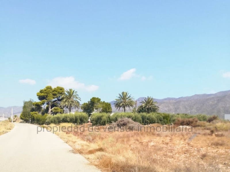 4 camera da letto Finca/Casa di Campagna in vendita in Lorca - 3.000.000 € (Rif: 9149901)