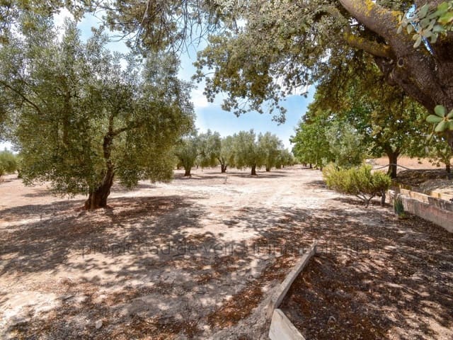 Building Plot for sale in Caudete - € 28,000 (Ref: 9149980)