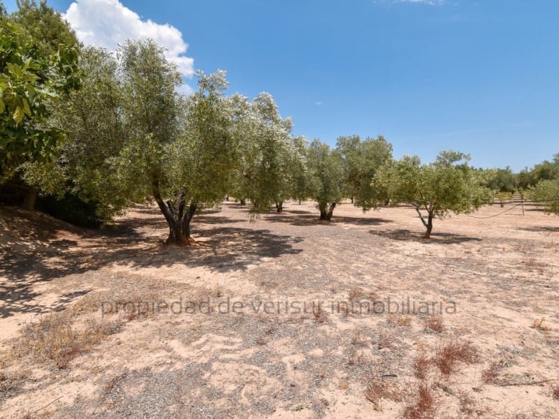 Terreno para Construção para venda em Caudete - 28 000 € (Ref: 9149980)