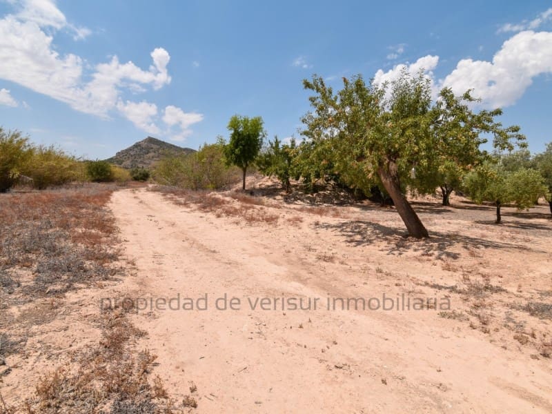 Terreno para Construção para venda em Caudete - 28 000 € (Ref: 9149980)