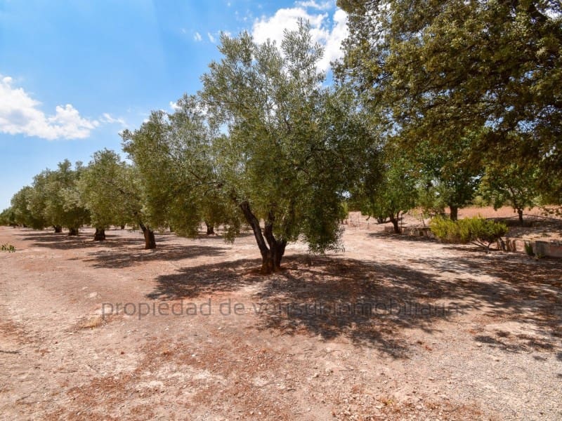 Terreno para Construção para venda em Caudete - 28 000 € (Ref: 9149980)