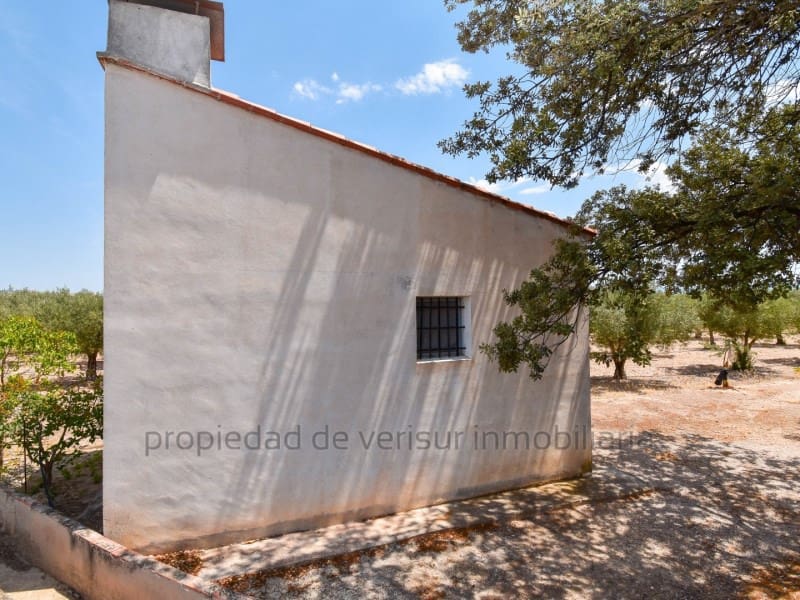 Terreno para Construção para venda em Caudete - 28 000 € (Ref: 9149980)