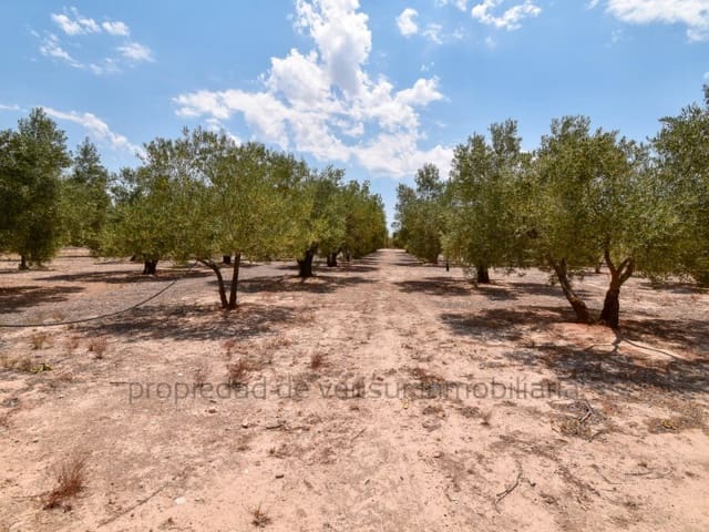 Building Plot for sale in Caudete - € 28,000 (Ref: 9149980)