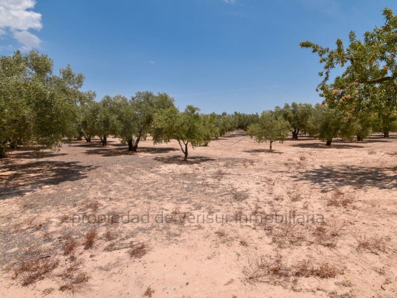 Terreno para Construção para venda em Caudete - 28 000 € (Ref: 9149980)