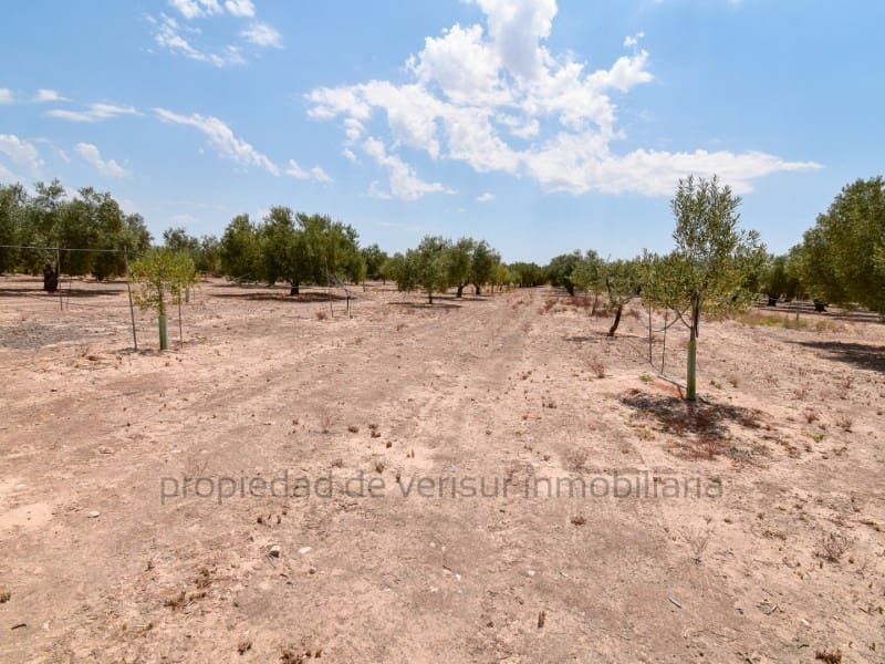 Terreno para Construção para venda em Caudete - 28 000 € (Ref: 9149980)