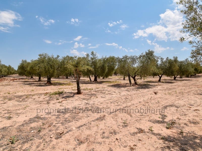 Terreno para Construção para venda em Caudete - 28 000 € (Ref: 9149980)