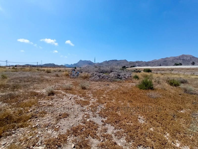 Byggegrund til salg i San Juan de los Terreros - € 84.000 (Ref: 9150044)